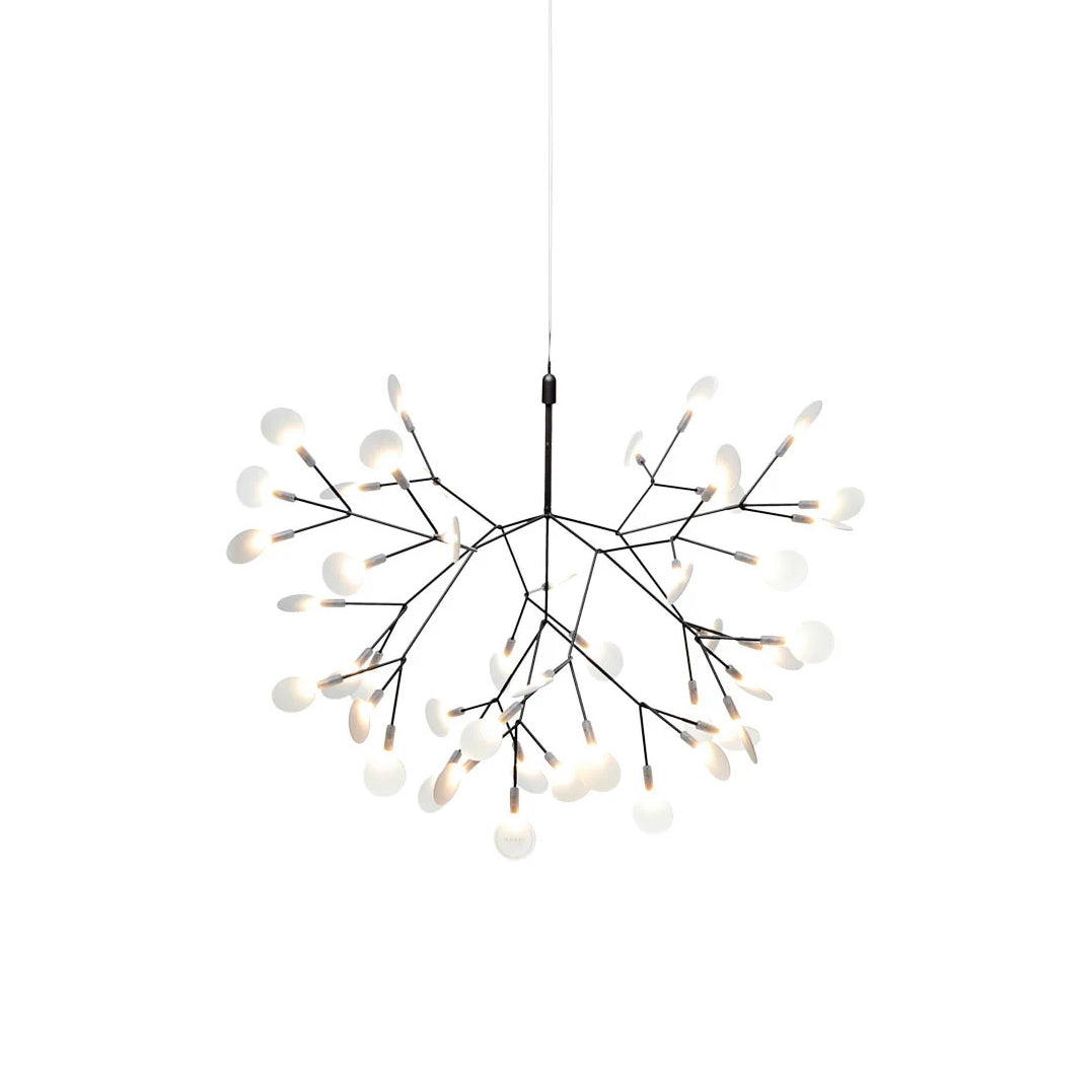 Heracleum – Lustre Nordique