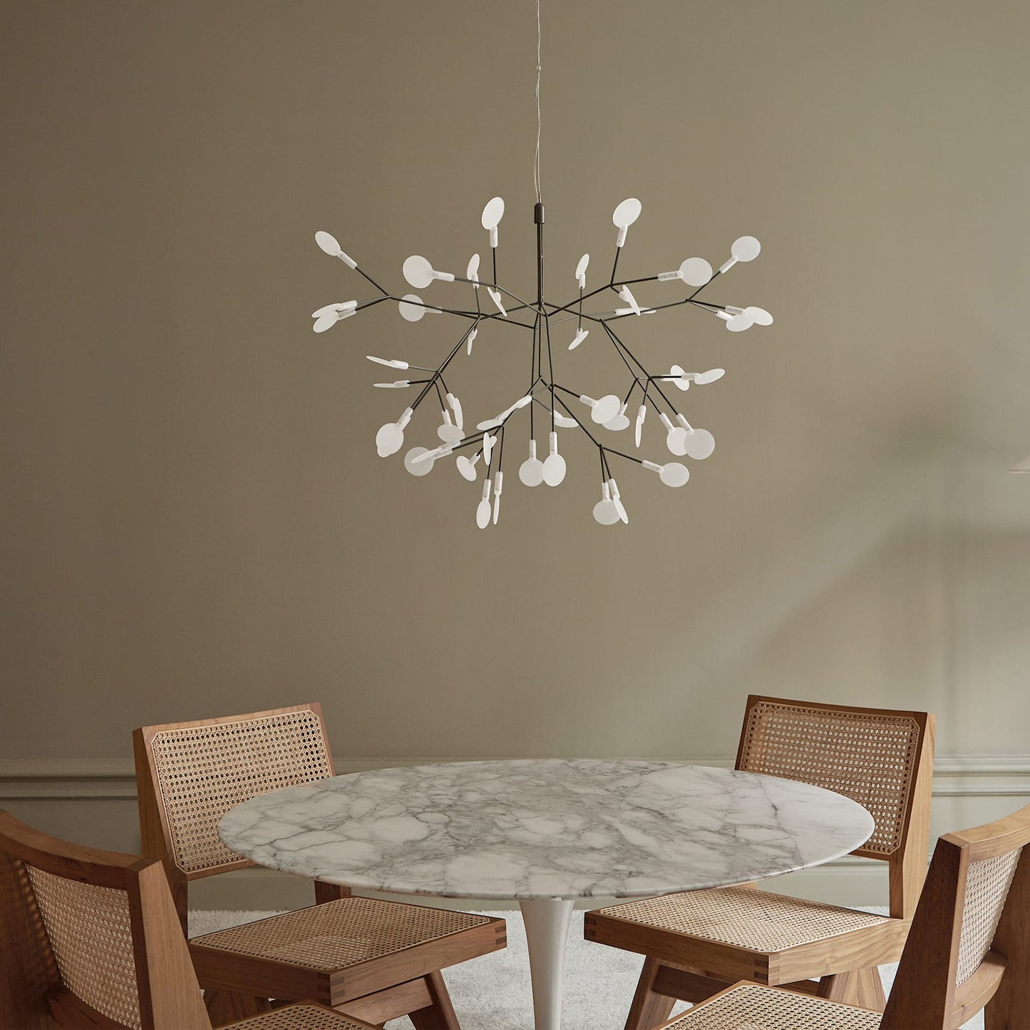 Heracleum – Lustre Nordique