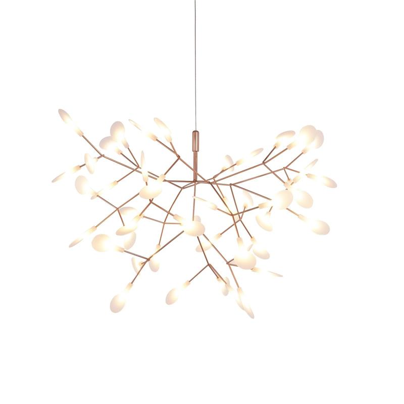 Heracleum – Lustre Nordique