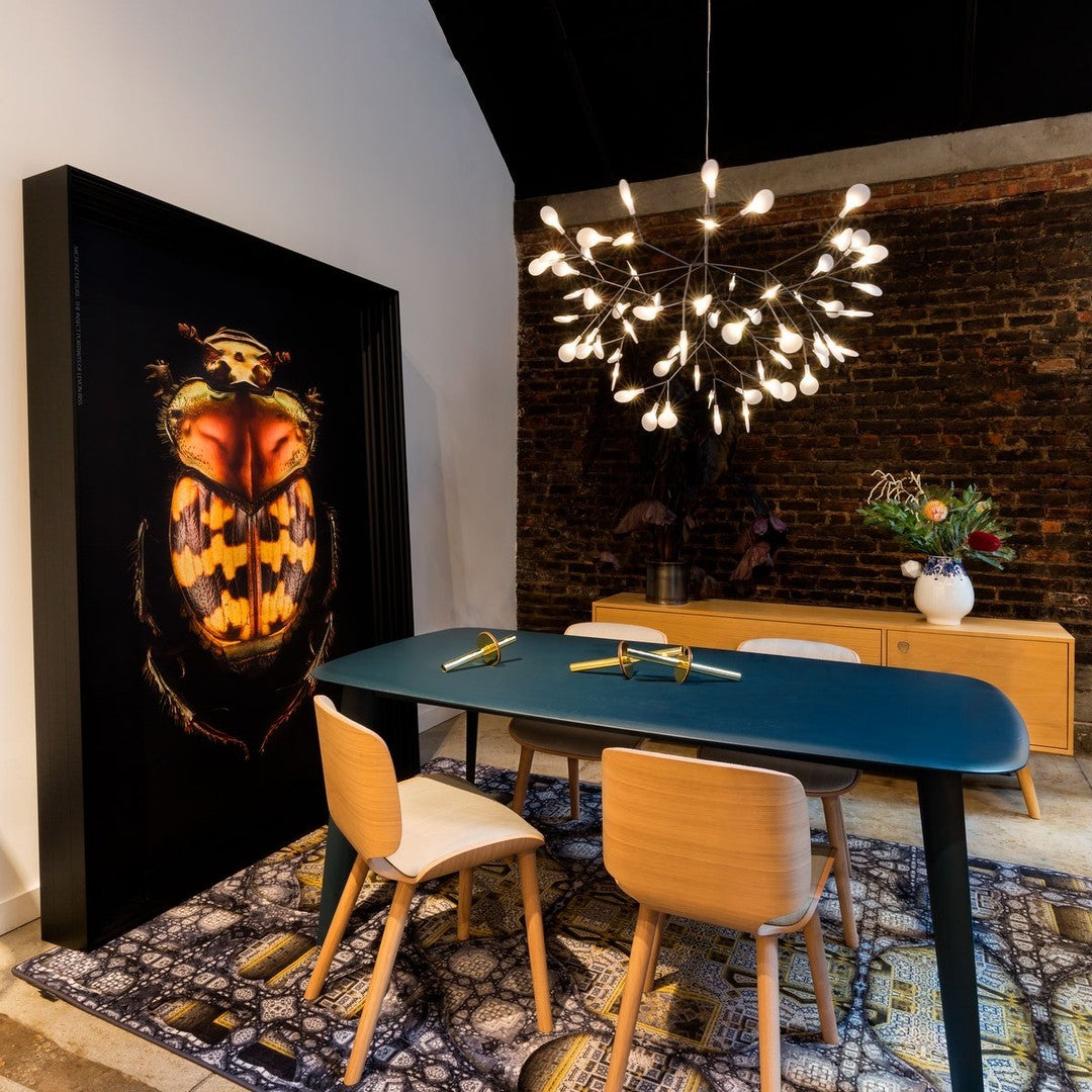 Heracleum – Lustre Nordique