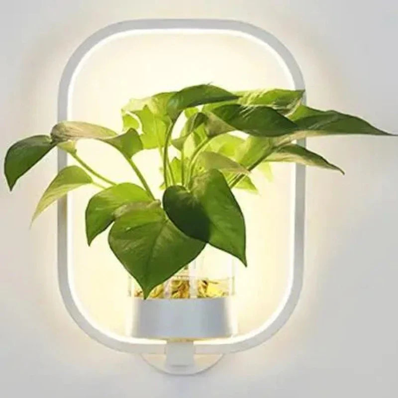 Applique murale design avec plante verte