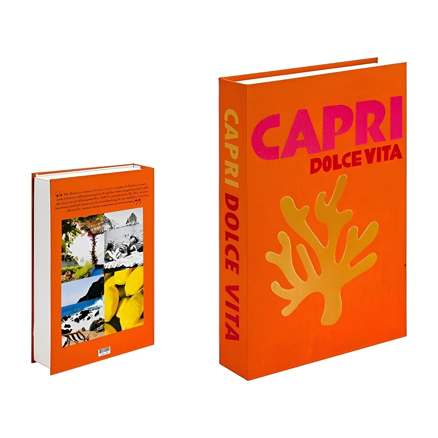 Brooke – Livres de maison minimalistes