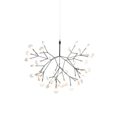 Heracleum – Lustre Nordique