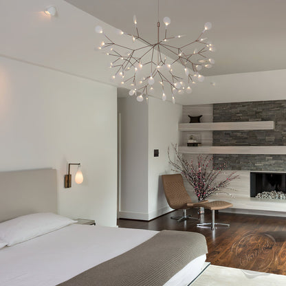 Heracleum – Lustre Nordique