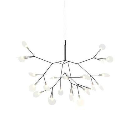 Heracleum – Lustre Nordique
