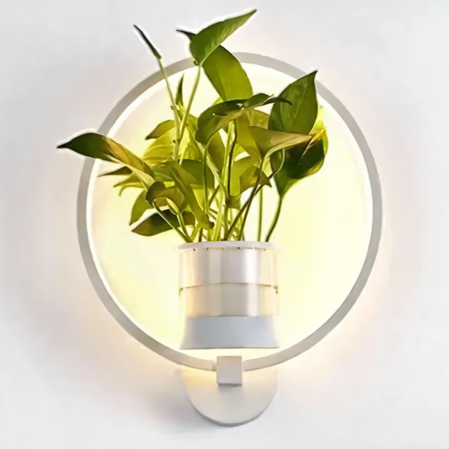 Kaori – Applique murale LED moderne