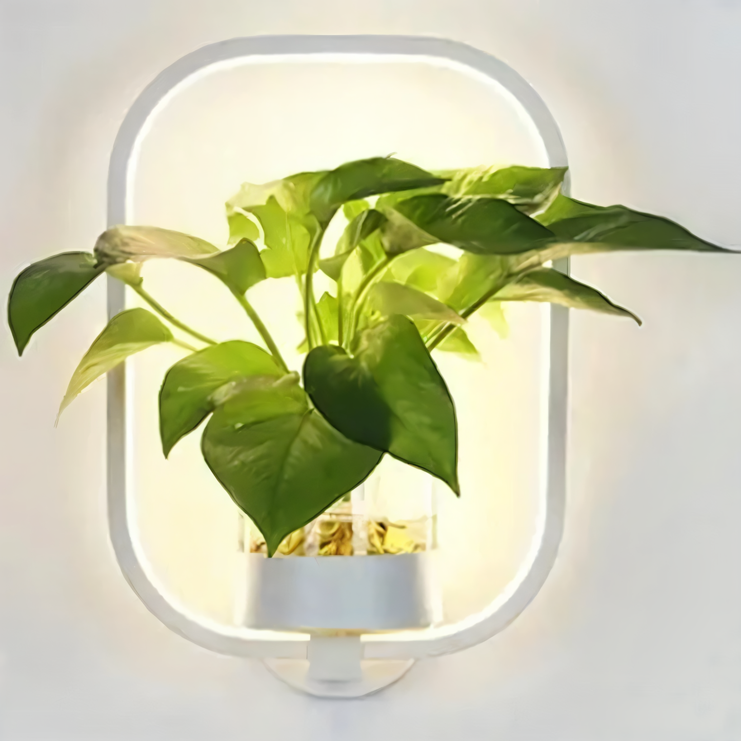 Kaori – Applique murale LED moderne