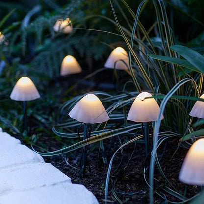 Eden – Lampe Champignon Solaire