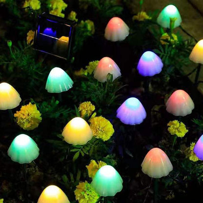 Eden – Lampe Champignon Solaire