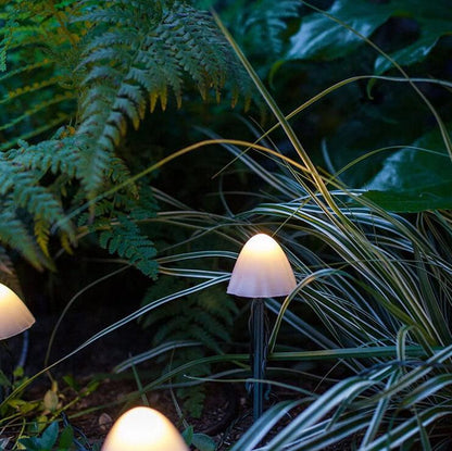 Eden – Lampe Champignon Solaire