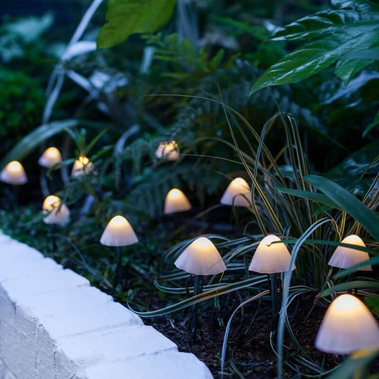 Eden – Lampe Champignon Solaire