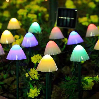 Eden – Lampe Champignon Solaire