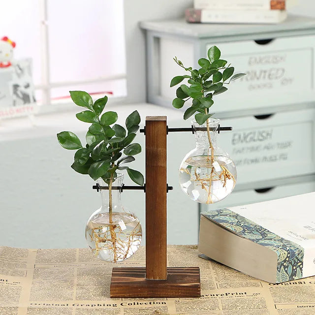 Vase En Verre Et Bois Pour Terrarium