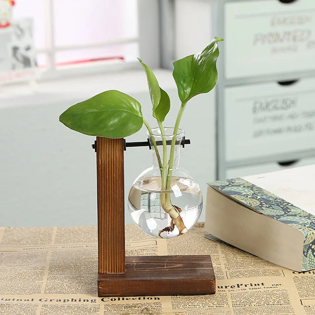 Vase En Verre Et Bois Pour Terrarium