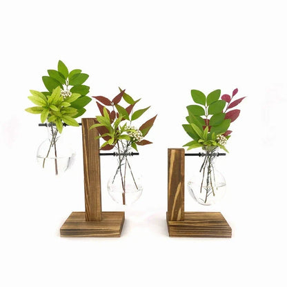 Vase En Verre Et Bois Pour Terrarium