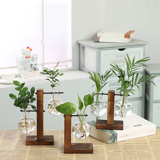 Vase En Verre Et Bois Pour Terrarium