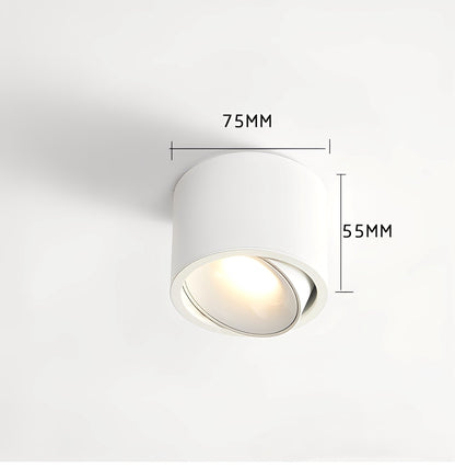 Olivia – Simple Spot Lampe